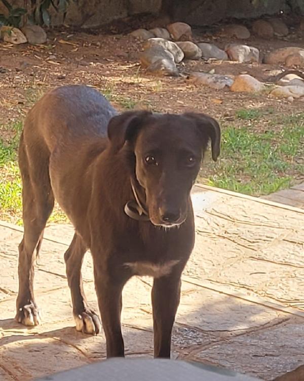 BLACKY Foto 8